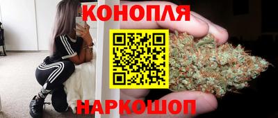 прущие грибы Конаково