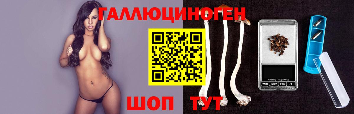 Псилоцибиновые грибы GOLDEN TEACHER  где купить   Вход с VPN  Ялта  Галлюциногенные грибы Magic Shrooms 